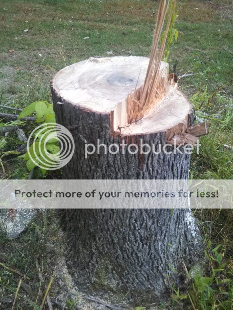 [Hearth.com] Dropped my first tree