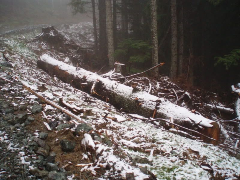 blacktail hunting weather