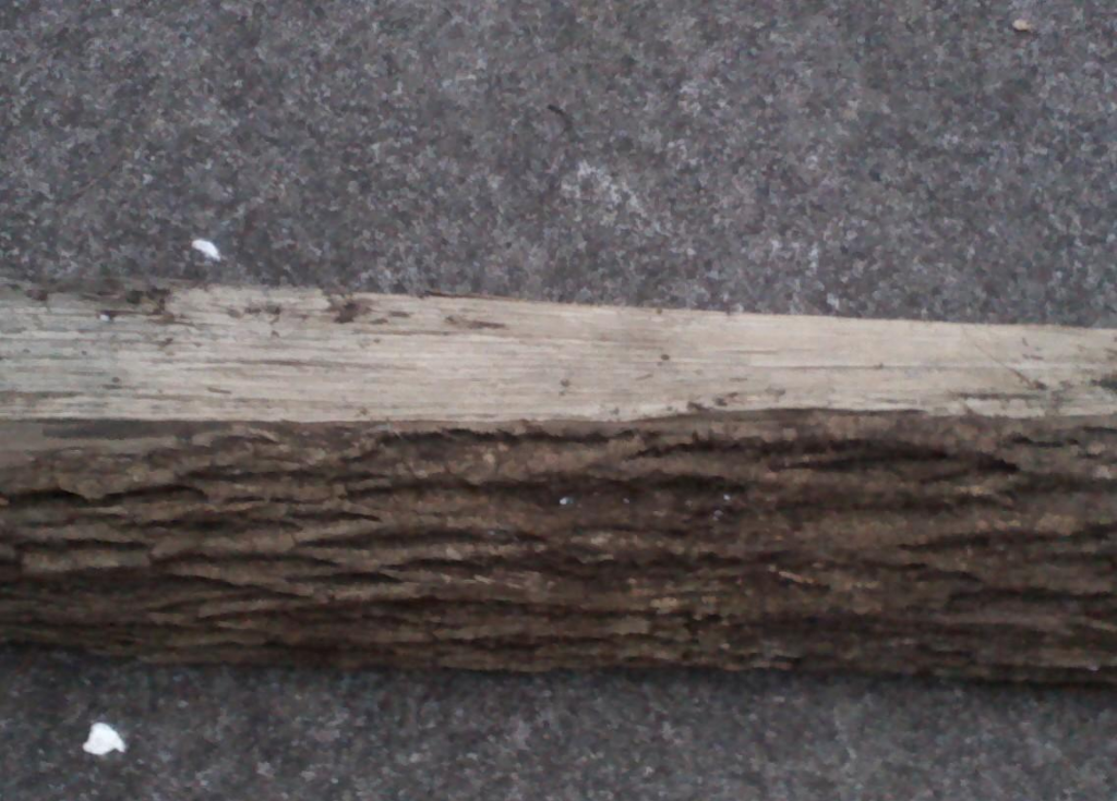[Hearth.com] Wood id please