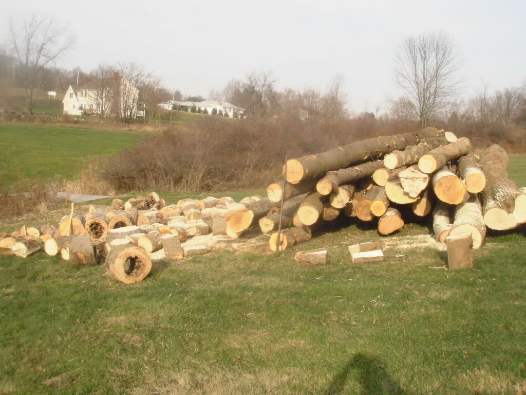 [Hearth.com] Load of logs showed up today