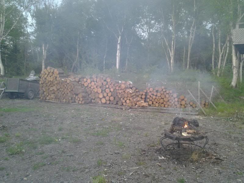 [Hearth.com] Doing better than I thought.