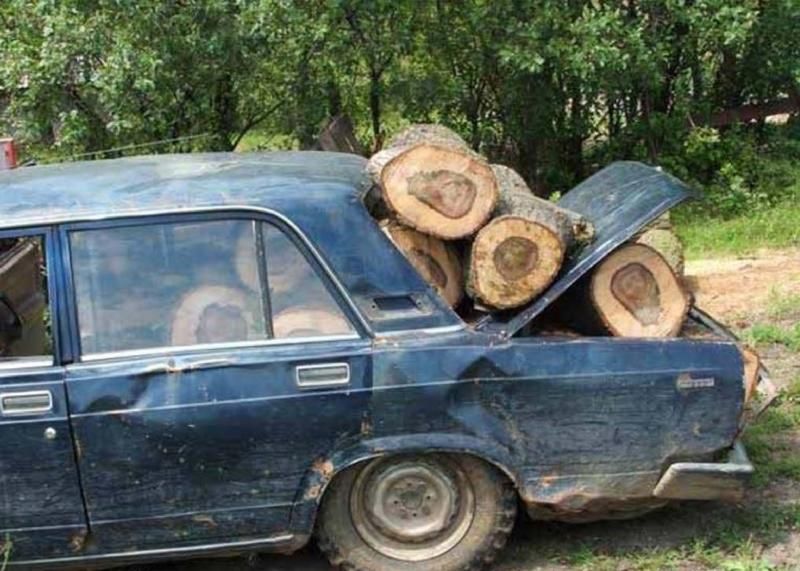 Wood hauler extraordinaire