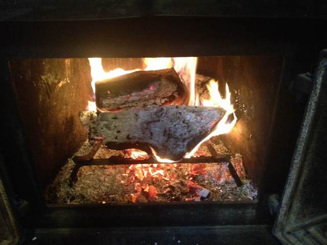 [Hearth.com] Our wood burning story