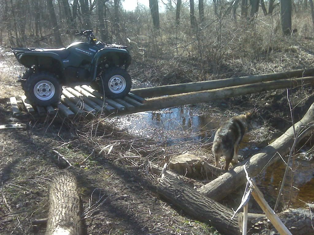 Telephone Poles?