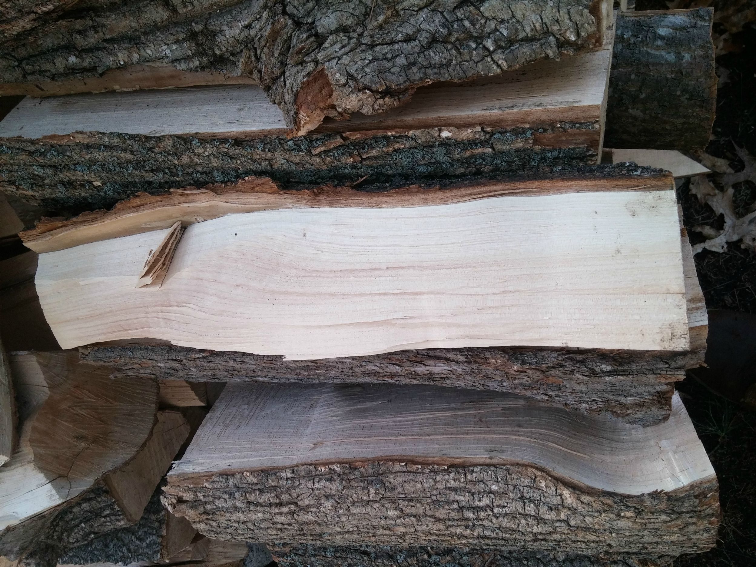 [Hearth.com] Wood ID
