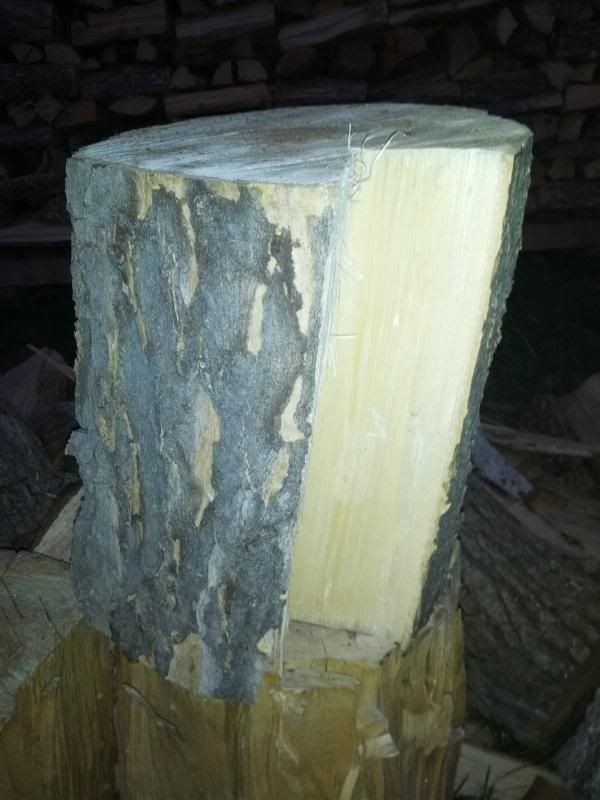 [Hearth.com] Daily WOOD ID post......
