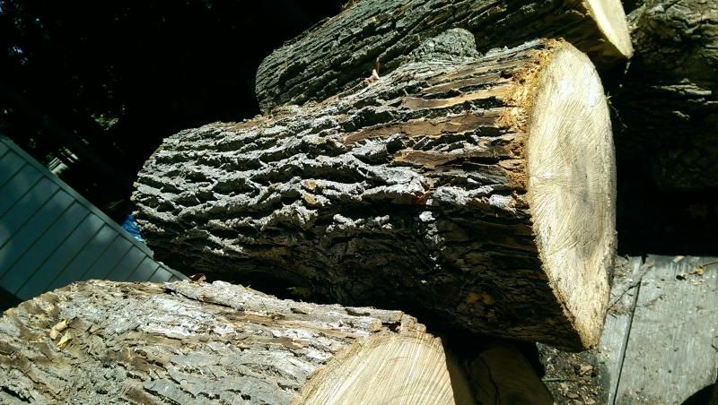 [Hearth.com] Wood ID please