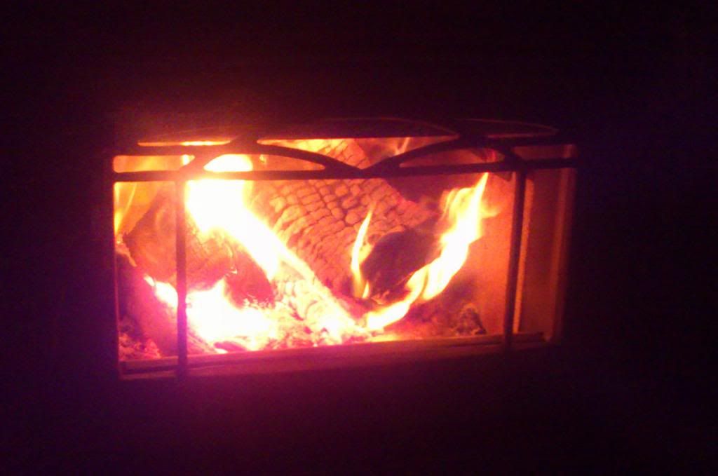 [Hearth.com] House is built, Alderlea T-6 is installed and keeping my kids comfy