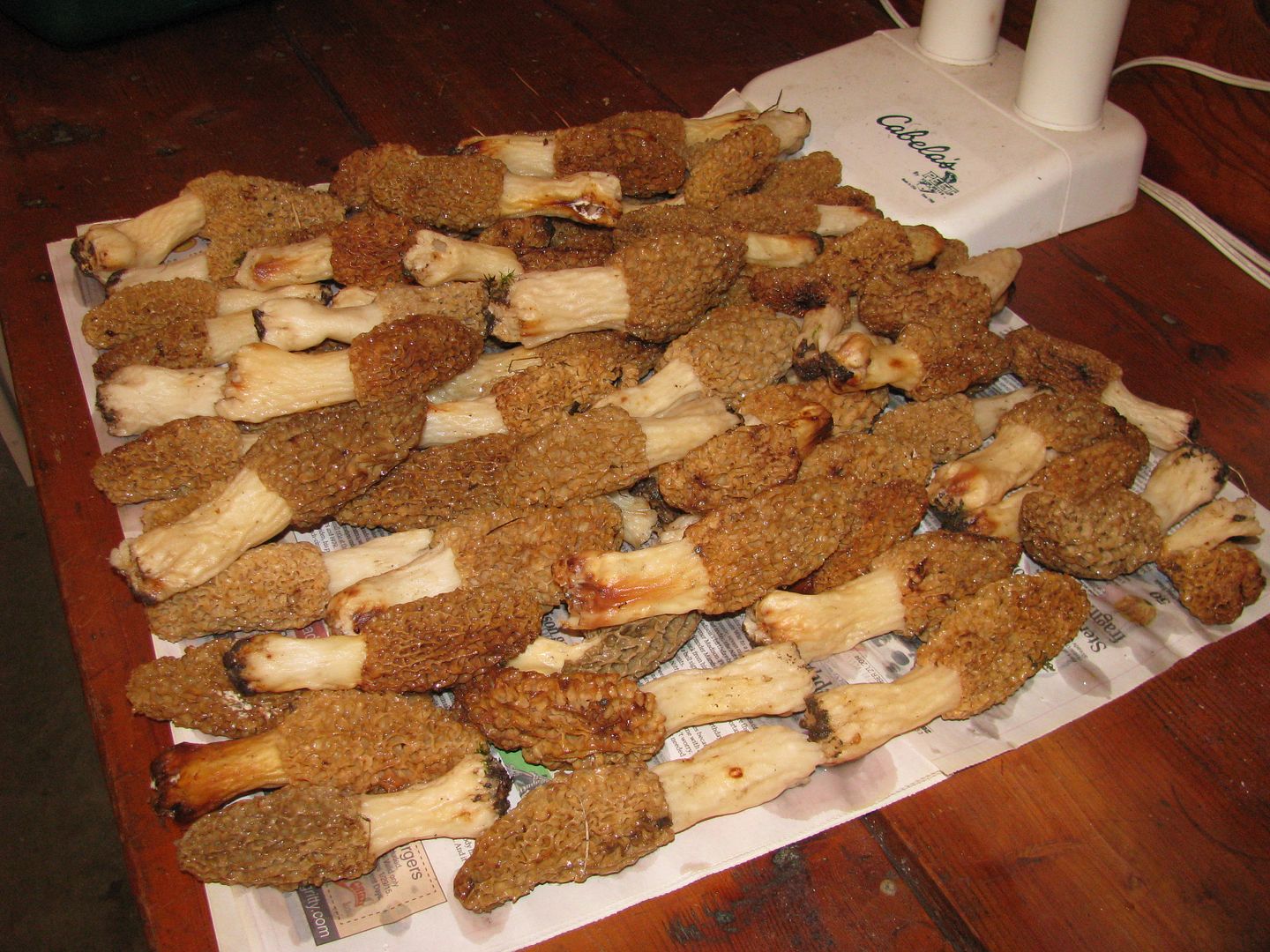 [Hearth.com] So, I go mushroomin",,,,