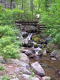 [Hearth.com] I know it's early but, Summer Vacation Plans anyone?