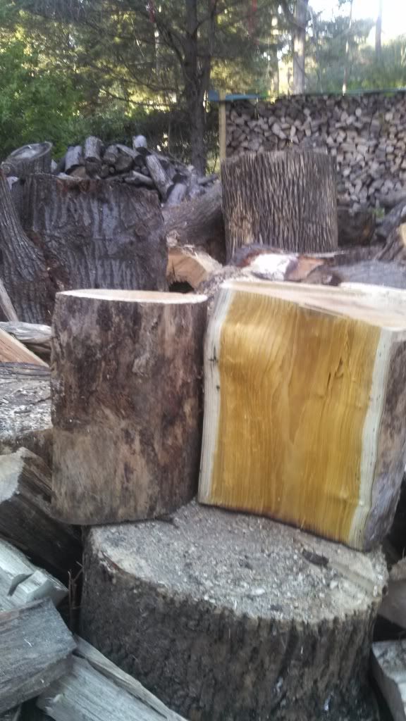 [Hearth.com] Wood ID