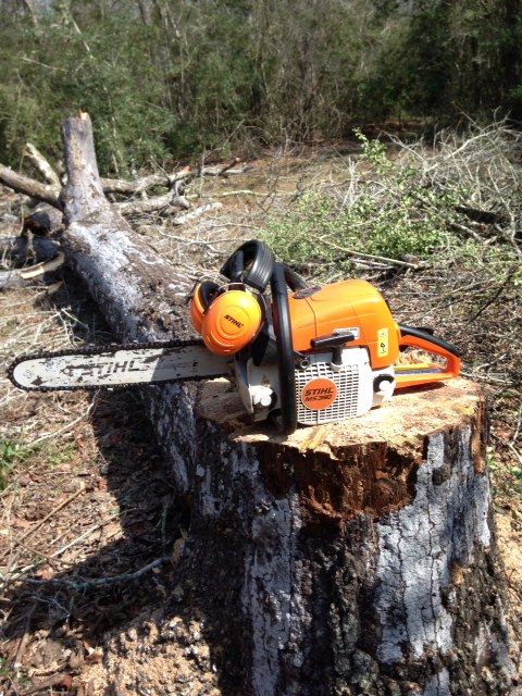 [Hearth.com] FINALLY took down that big Water Oak (pics)