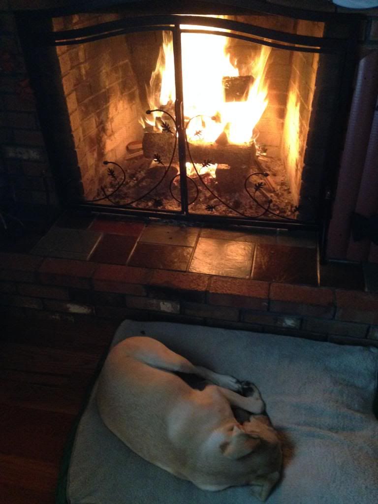 [Hearth.com] Help Selecting A Quality Stove