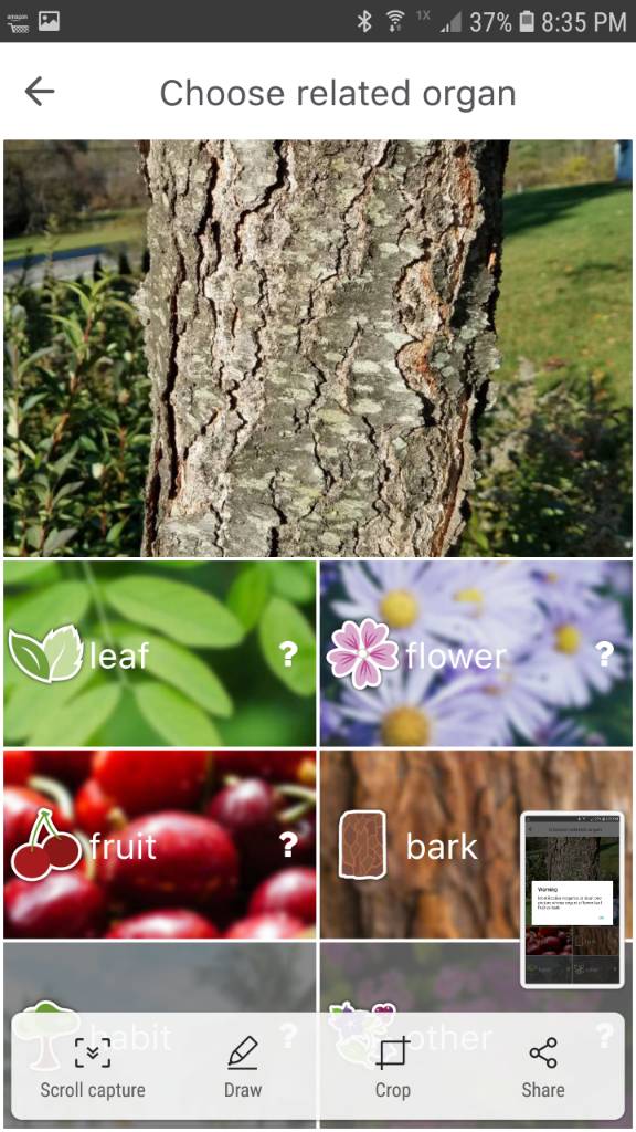 [Hearth.com] Wood ID app