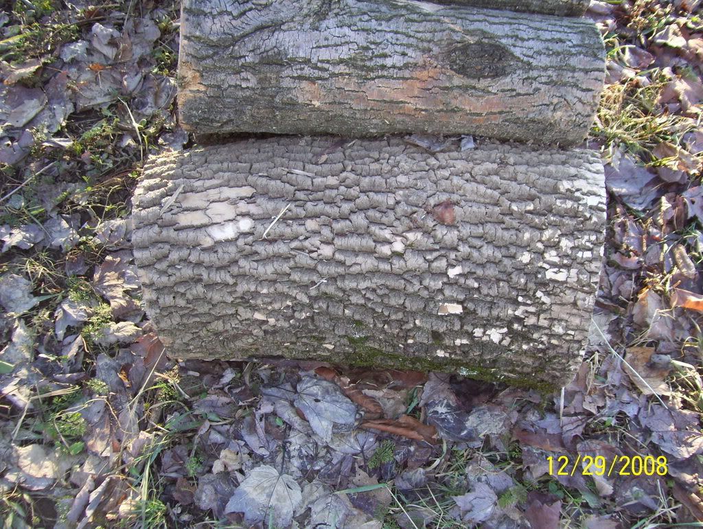[Hearth.com] Yesterdays haul - Do I know my wood?
