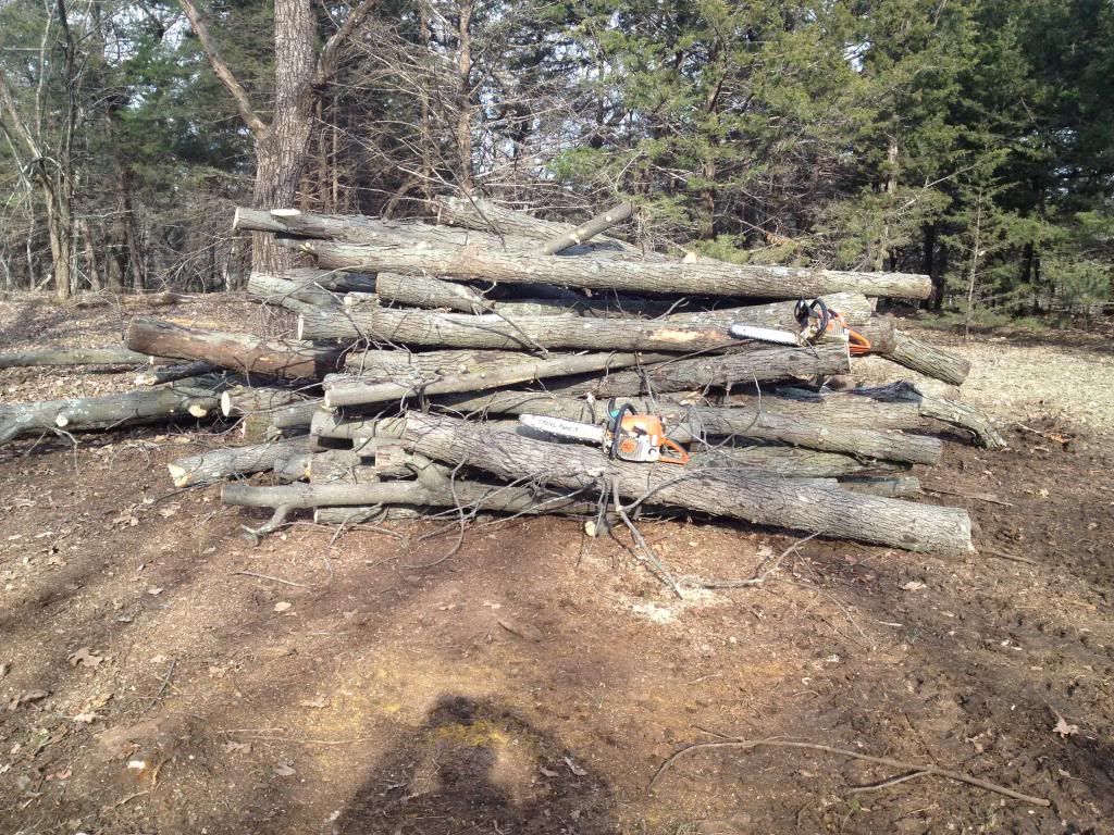 [Hearth.com] Cut a few Hickory on the farm last week