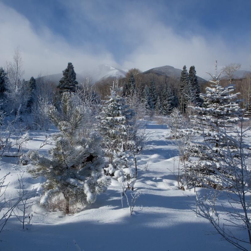 [Hearth.com] Cold Weather Pics ?