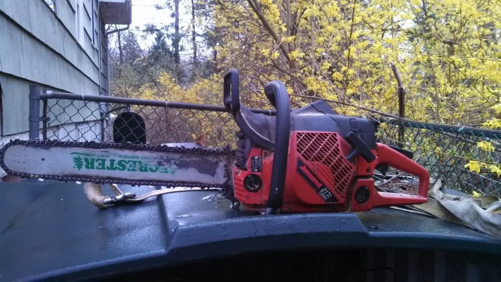 Let's see some chainsaw pics