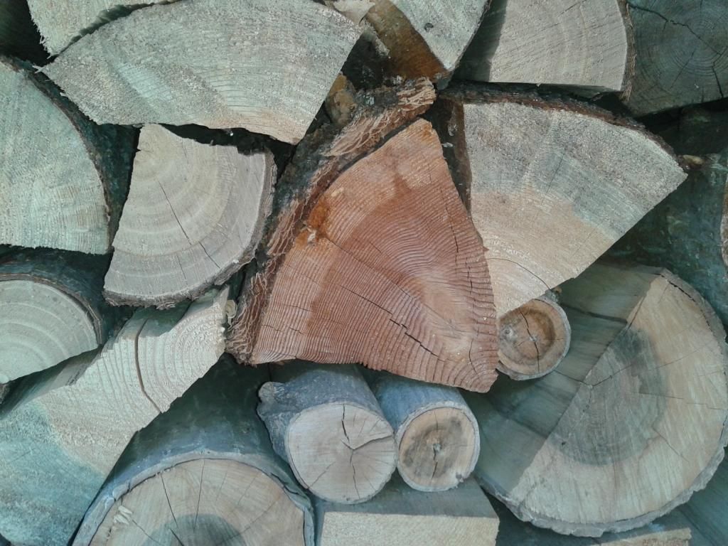 [Hearth.com] wood that requires extra caution