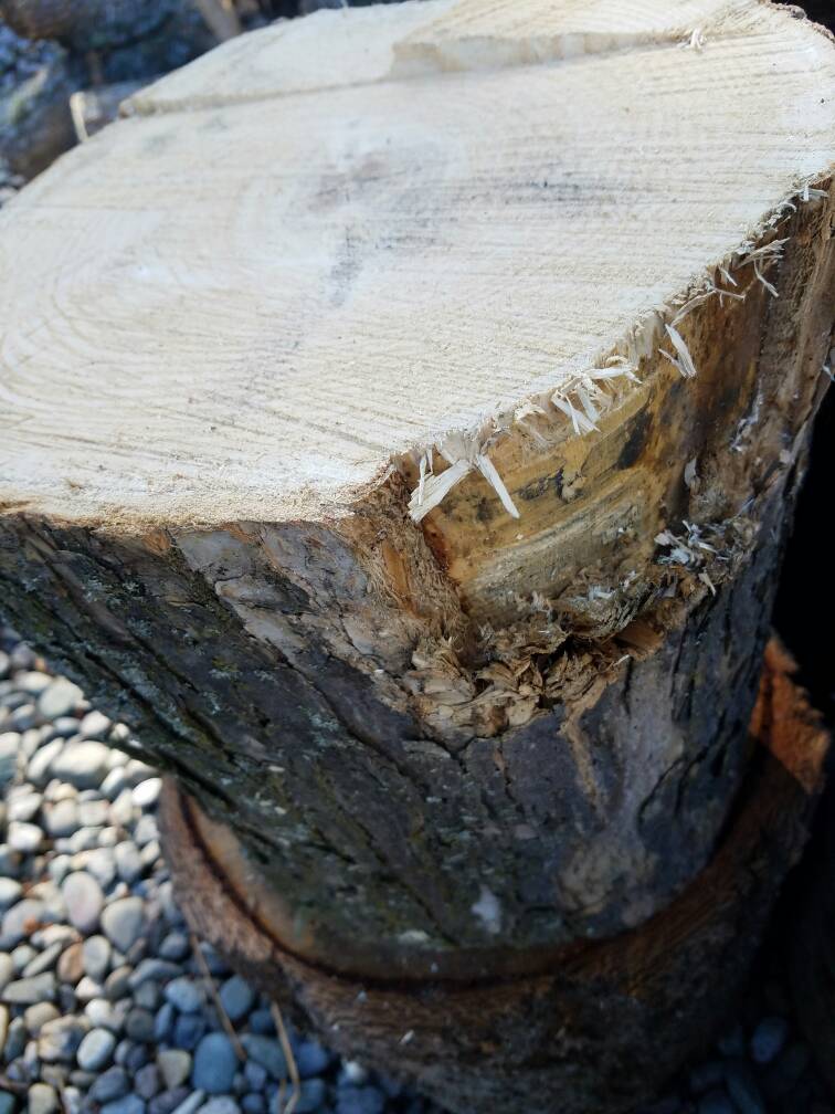 [Hearth.com] What type of wood is this