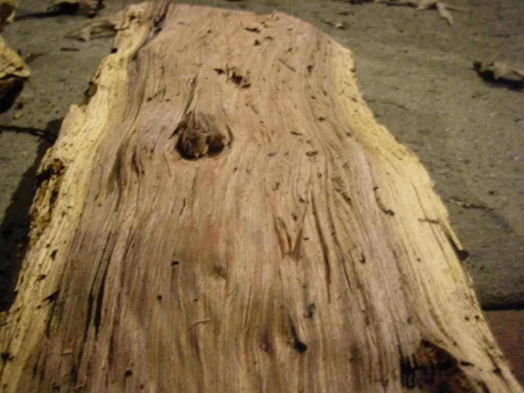 [Hearth.com] Wood ID