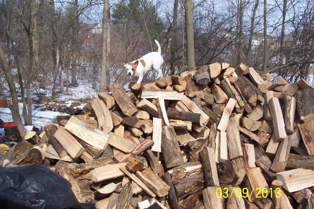 [Hearth.com] wood pile update