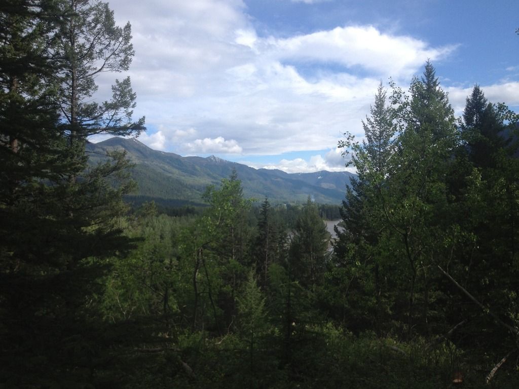 [Hearth.com] Little adventure up in 'Larch' land.