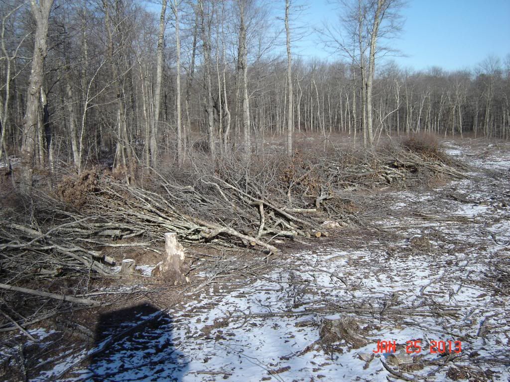 [Hearth.com] Dad's wood