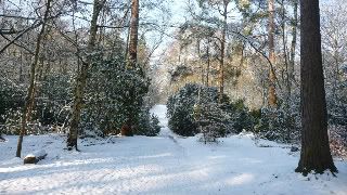 [Hearth.com] Winter arrives at last in the UK........