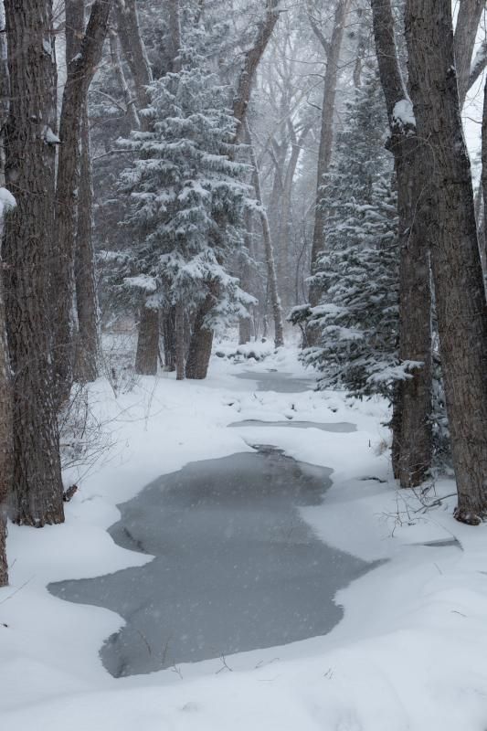[Hearth.com] Cold Weather Pics ?