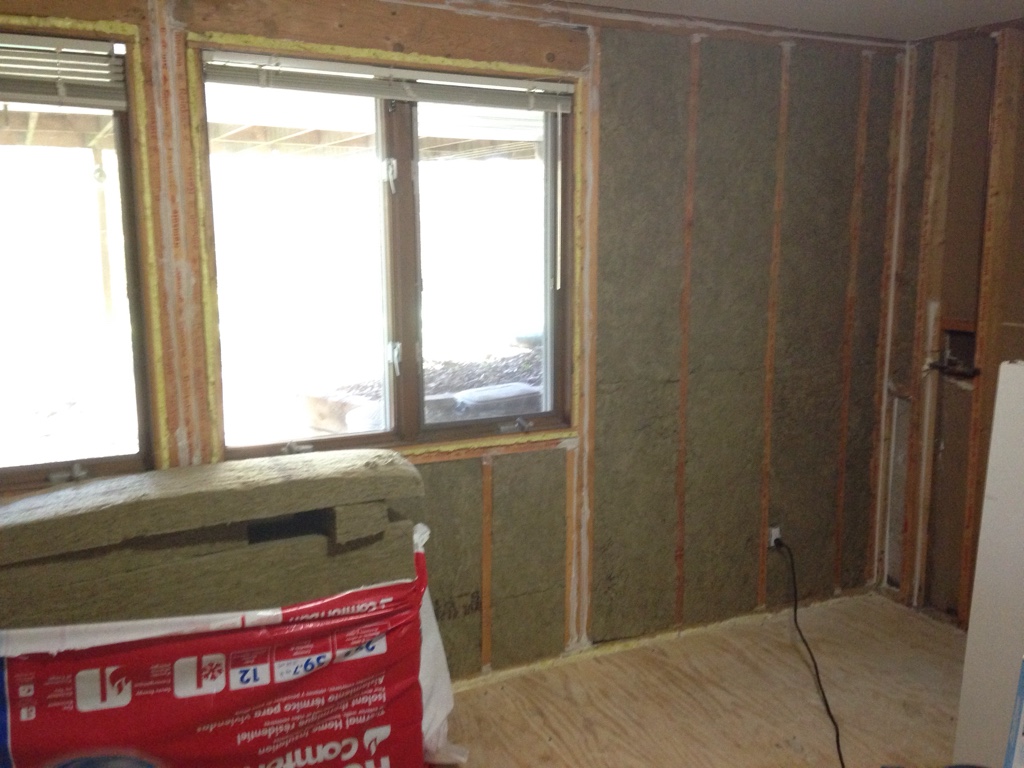 Wall Insulation - Looking for Opinions