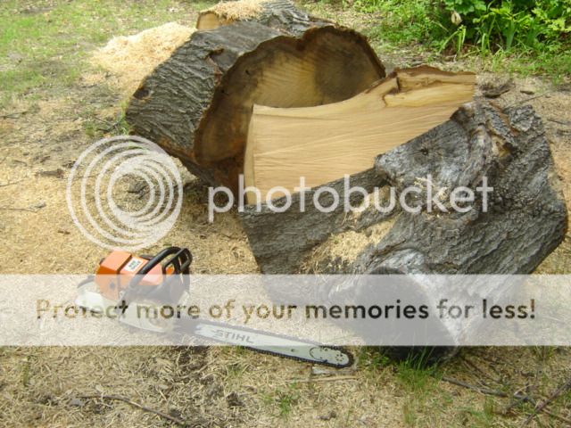When do you begin gathering wood for the next burn season?
