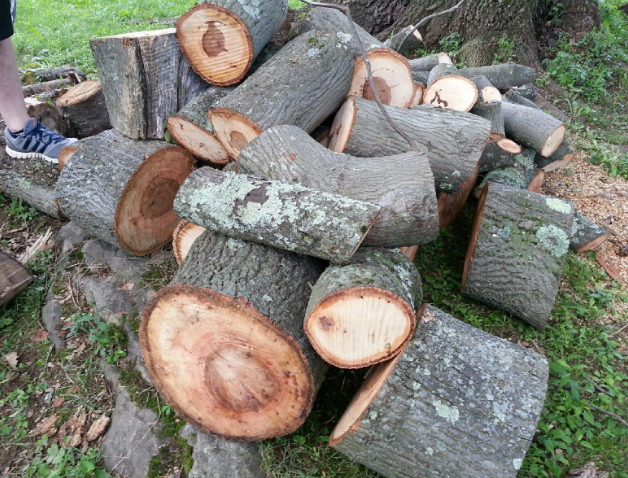 [Hearth.com] Wood ID