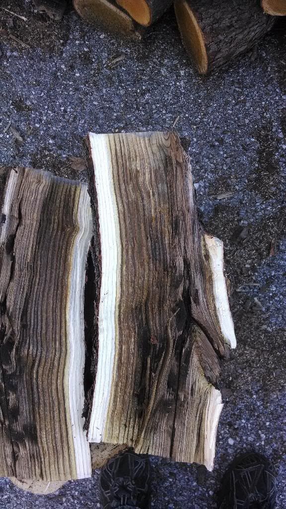 [Hearth.com] Please - Wood ID