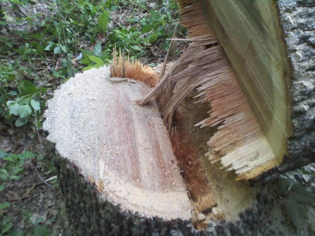 [Hearth.com] black oak down