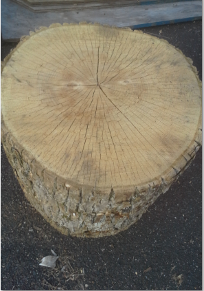 [Hearth.com] Wood ID
