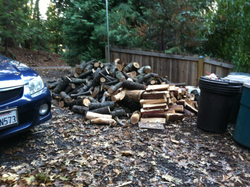 [Hearth.com] Went out cutting last weekend :)