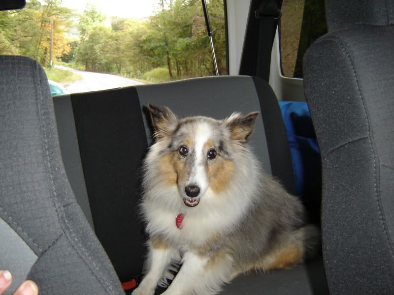 [Hearth.com] pet picture thread