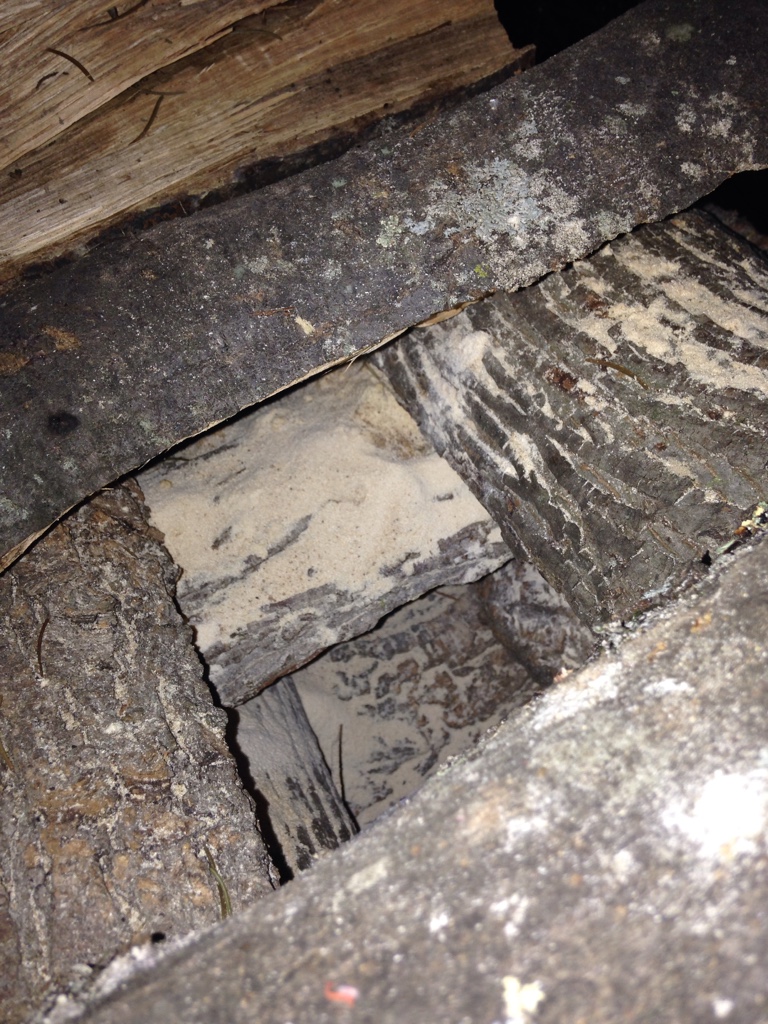 [Hearth.com] What creature is in my wood?