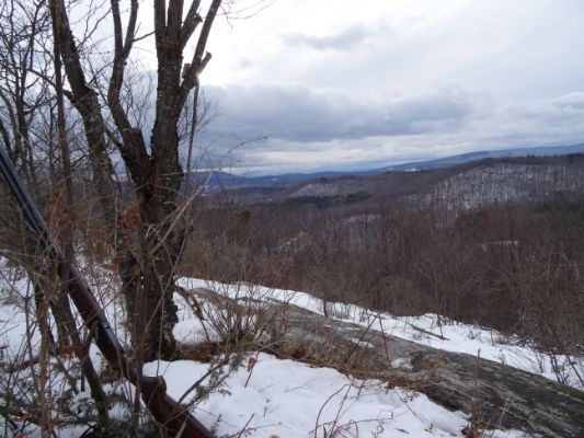 [Hearth.com] Anyone Else Get a New Camera Lately?