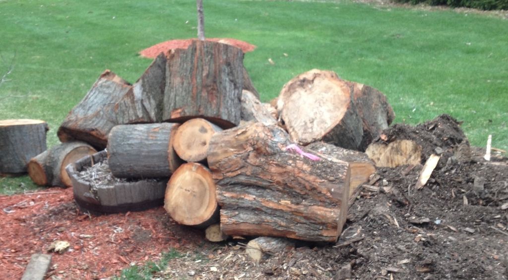 [Hearth.com] Wood Estimation