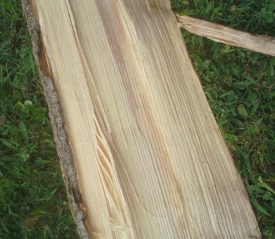 [Hearth.com] Wood ID