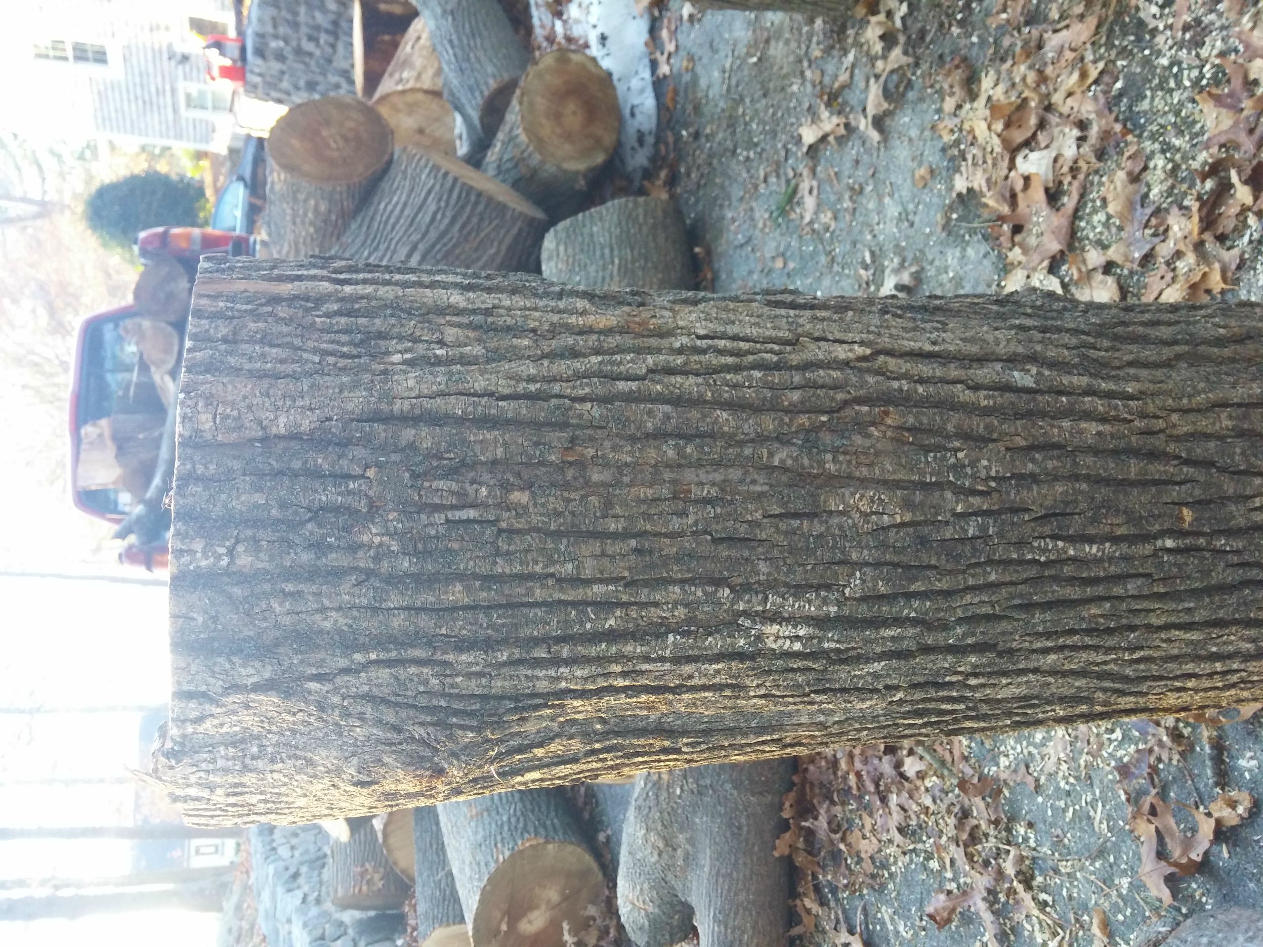 [Hearth.com] Wood ID