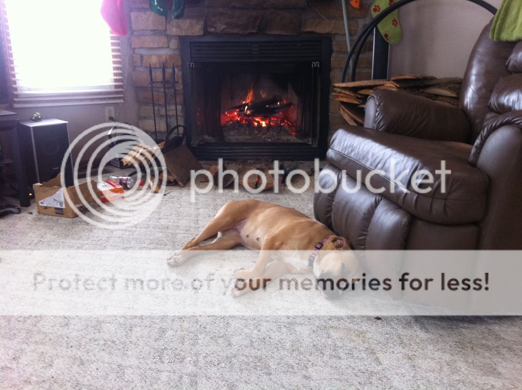 Your pup enjoying the stove or insert.