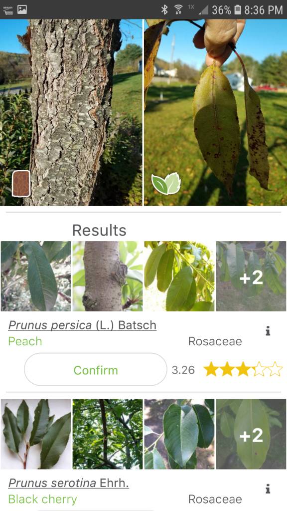 [Hearth.com] Wood ID app
