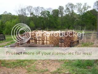Selling Black Walnut Logs