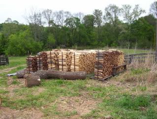 Selling Black Walnut Logs