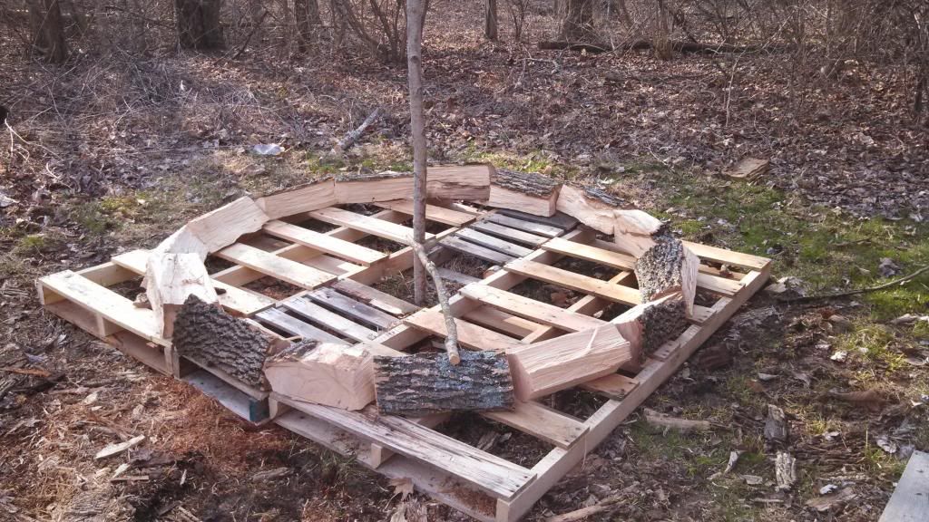 [Hearth.com] Holz Hausen Down!