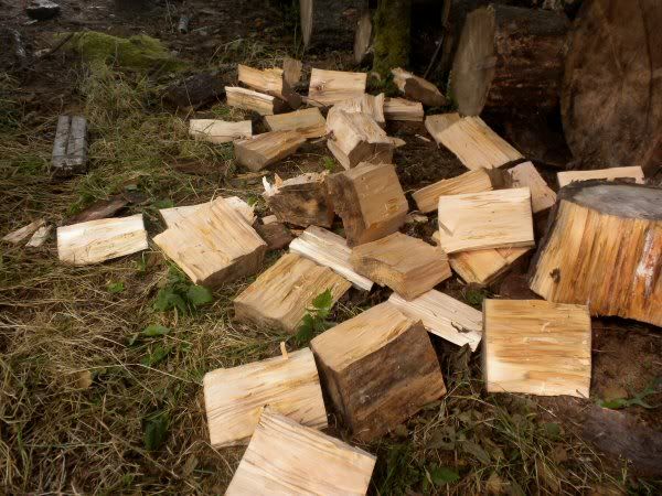 [Hearth.com] Help me Decide About Past-Prime Wood