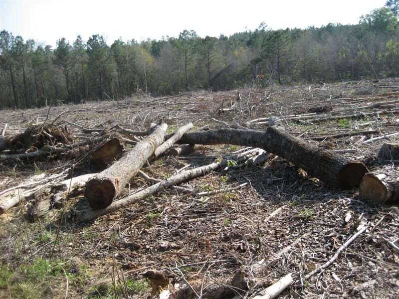[Hearth.com] Intheswamp's wood "getting"....it's getting too hot to get wood!!!